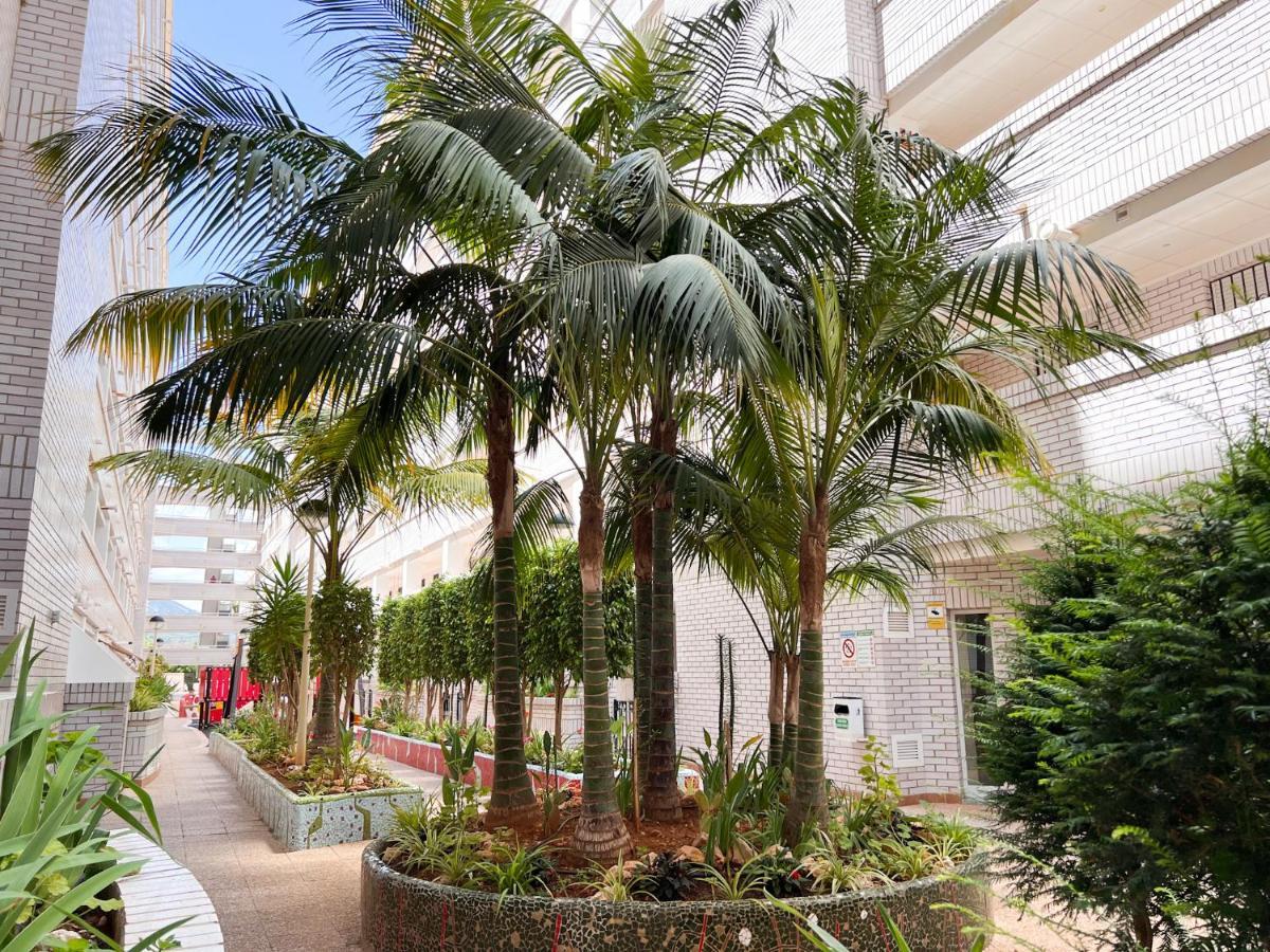 Apartamento Deluxe Jardin โอโรเปซาเดลมาร์ ภายนอก รูปภาพ